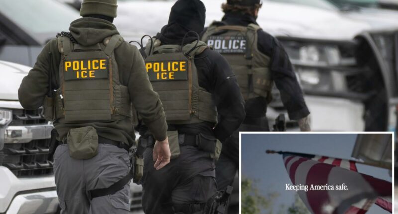 Pro-ICE ads reminding Americans of âdangerous illegal immigrantsâ Biden let in to run in swing states ahead of State of the UnionÂ 